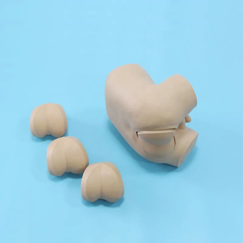 Шиньон передовые прямой проверить симулятор Ректальный сенсорный модель