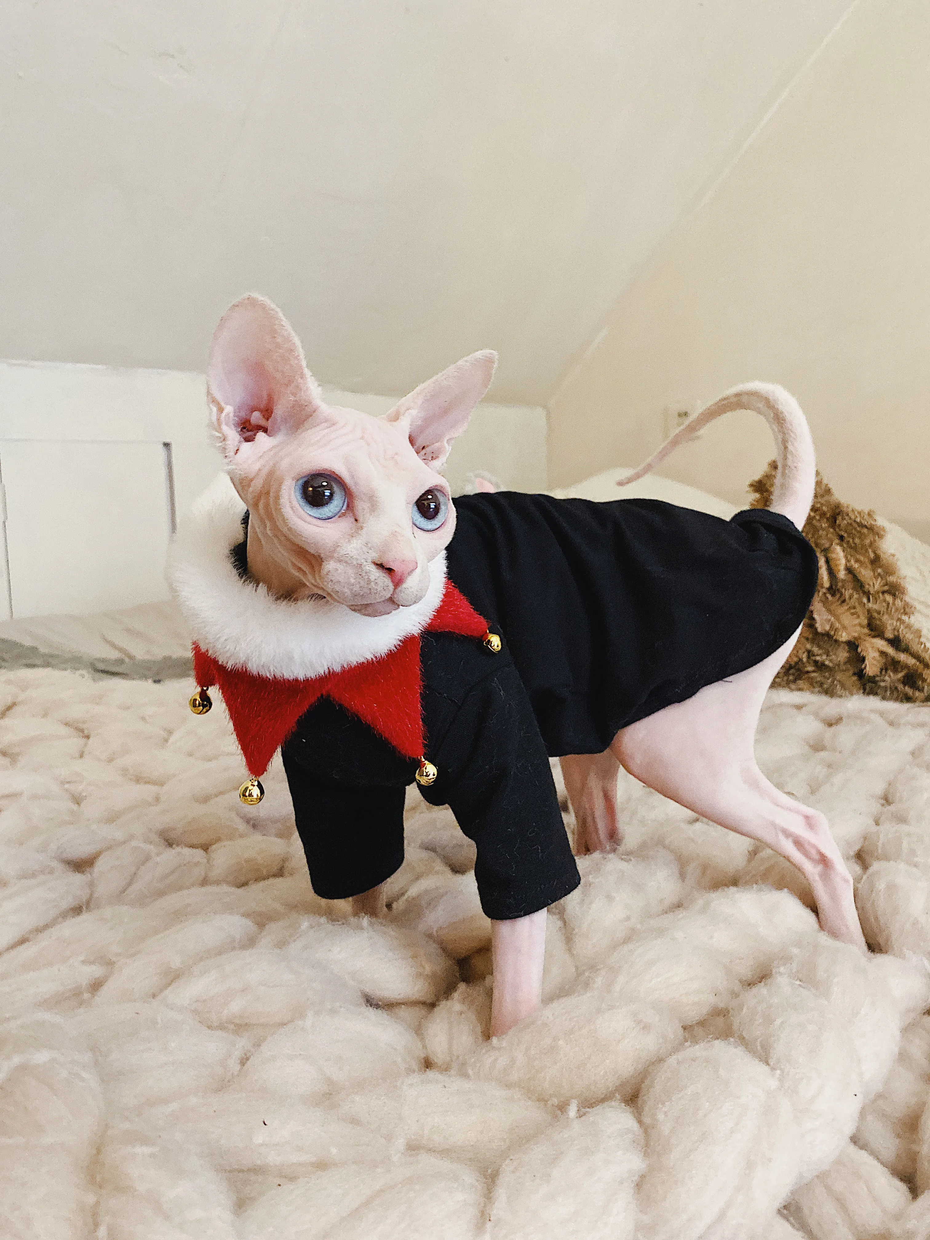 Одежда для кошек Сфинкс хлопковая анти аллергенная одежда летняя черная белая