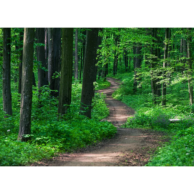 

Vinyl Custom Photography Backdrops Wood Planks and Scenery Theme Photo Studio Background 20203TT-26