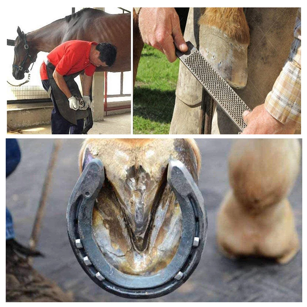 4 шт. триммеры для подковы инструменты обрезки лошадей нож копыт набор ножей Donkeys