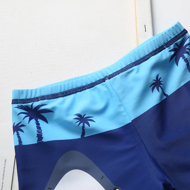 Бесплатная доставка Плавки для мальчиков Детские плавки Летние детские с