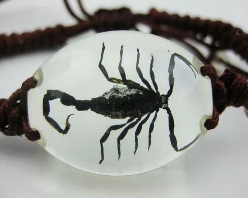 

YQTDMY 10 pcs charming bracelet real black scorpion king lucid style magic cool bangle