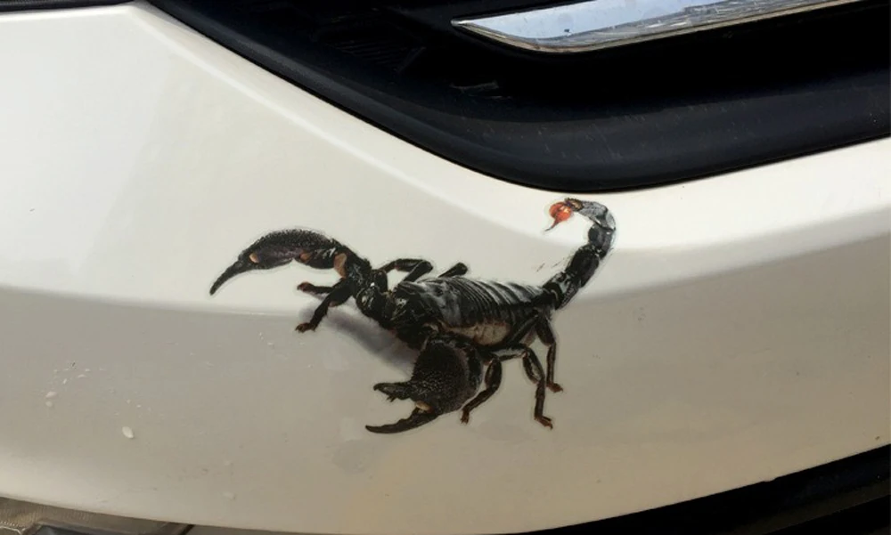 3D Автомобильная наклейка spider gecko scorpion для Mitsubishi ASX/Outlander/Lancer Evolution/Pajero/Eclipse/Grandis
