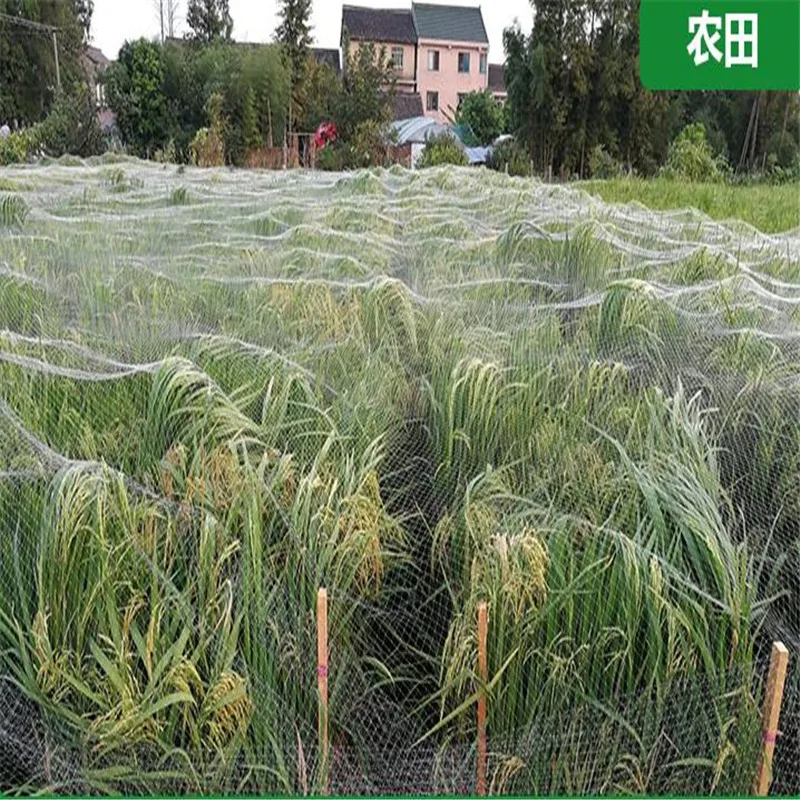 10 м садовая сеть для птиц сетка защиты от рыбы пруда защитная вы можете выбрать