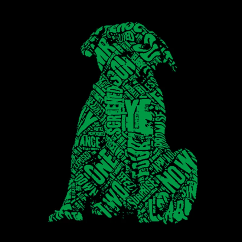 

Patches Noctilucent Dog Letters Stickers for Clothes Thermal Transfer Printing Pattern DIY Decoration Animal Luminous Patch
