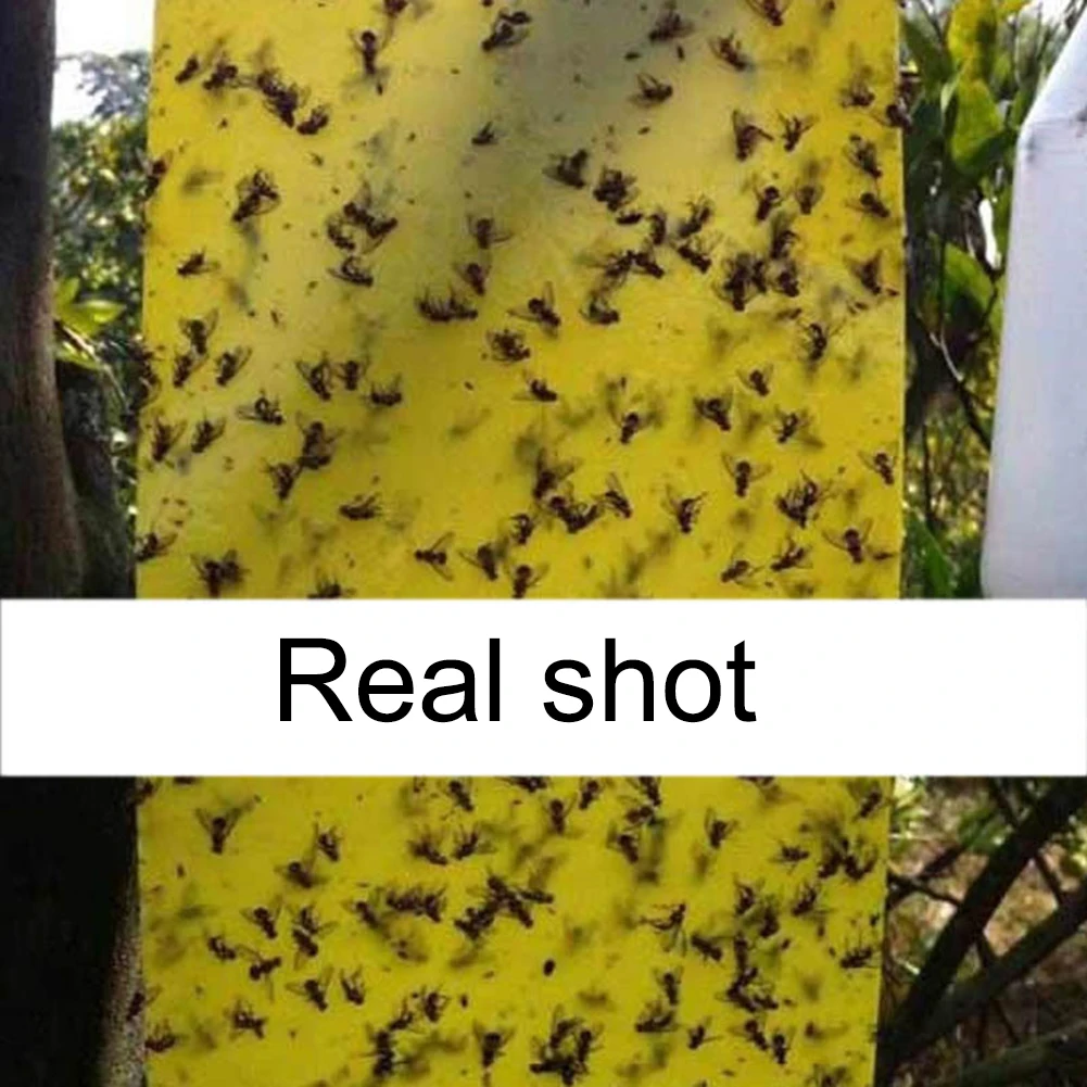 20 шт. наклейка-ловушка для насекомых | Дом и сад