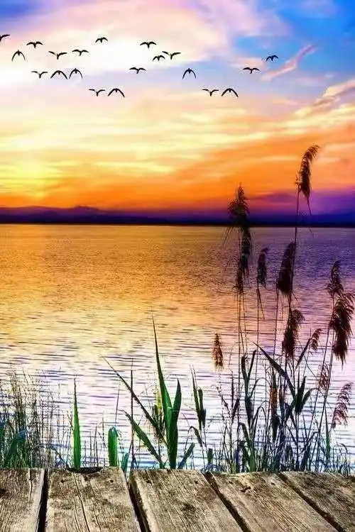 

5D DIY Diamond Painting Landscape Full Square Painted Animal Mosaic Embroidery Cross stitch Embroidery Craft home decor L09043