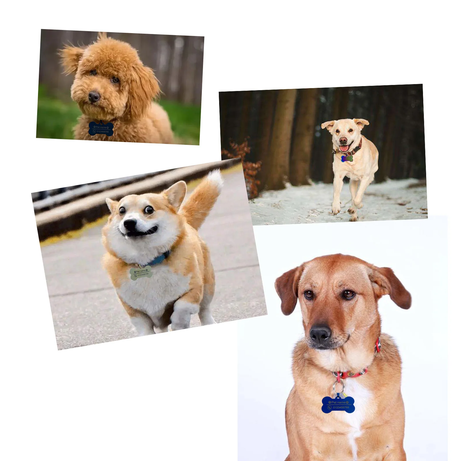 Индивидуальная Персонализированная бирка на ошейник для кошек и собак лазерная