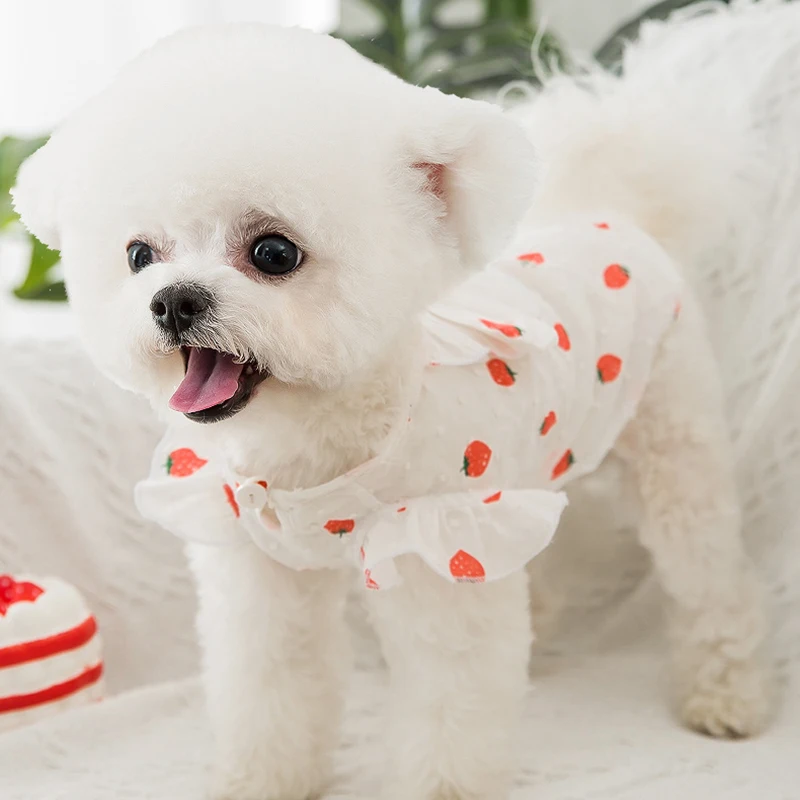 

Summer Leisure Cute Dog Dress Skirt Strawberry Patterns Puppy Dog Cat Princess Dress Thin Breathable Pet Clothes with Bow