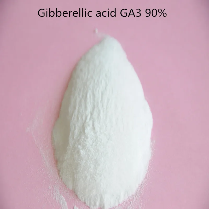 

10 gram gibberellic acid ga3/Gibberellin /GA3/Gibberellic acid Plant Growth Regulator with high purity low price