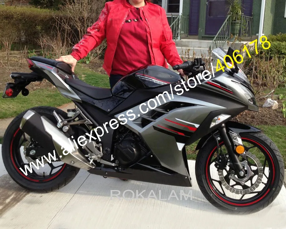 

Fashion Fairings Set For Kawasaki Ninja 300R EX300 2014 2014 2015 2016 EX 300 13-16 ABS Motorcycles Fairing (Injection Molding)