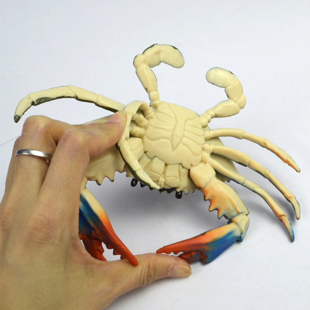 

Learning & Education