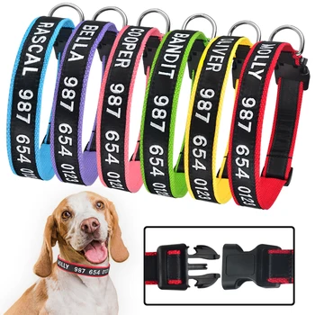 Adjustable Custom Nylon Dog Collars Personalized Embroidery Puppy Unisex Dog Collar Small Large Pet Dog Accessories 1
