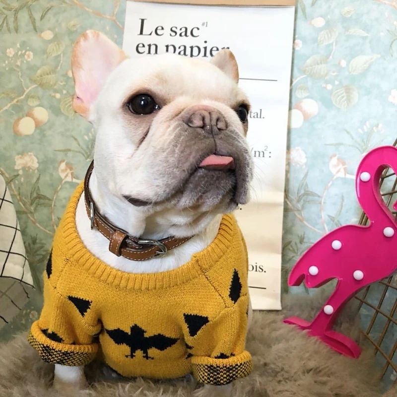 Halloween Pet Dog Sweater Cute Cat Bat Pattern Cloth Winter Puppy Scarf Christmas Clothes Knitwear Warm Clothing | Дом и сад