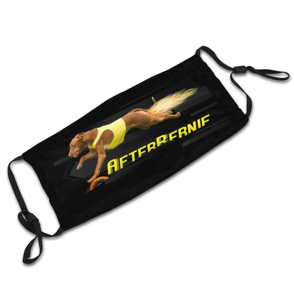 

Afterbernie Extraordinary Dog New 3D Face Mask Protective Covering Gear Washable Reusable Breathable Facemask Dog Afterburn