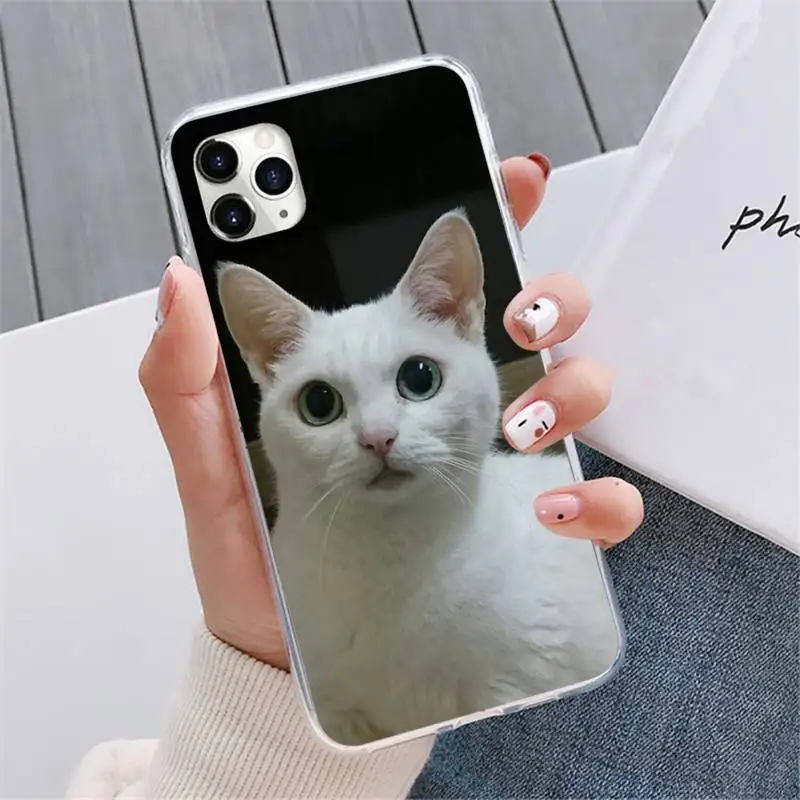 

squishy lovely cat Phone Case For iphone 12 5 5s 5c se 6 6s 7 8 plus x xs xr 11 pro max mini