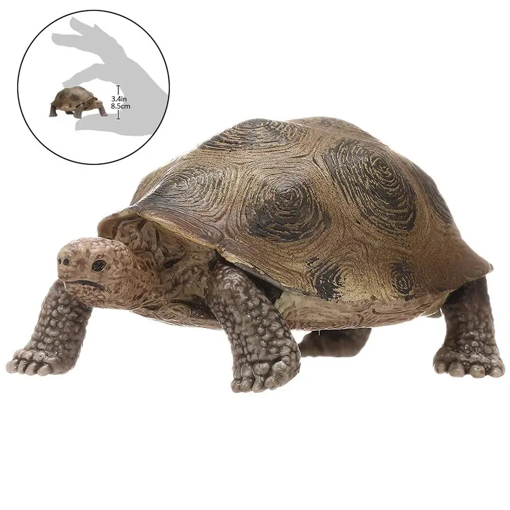 

3.4 Inch Galapagos Tortoise Turtle Model Figure Animal Toy Desktop Decoration Collectable Gift PVC Realistic Turtle Model