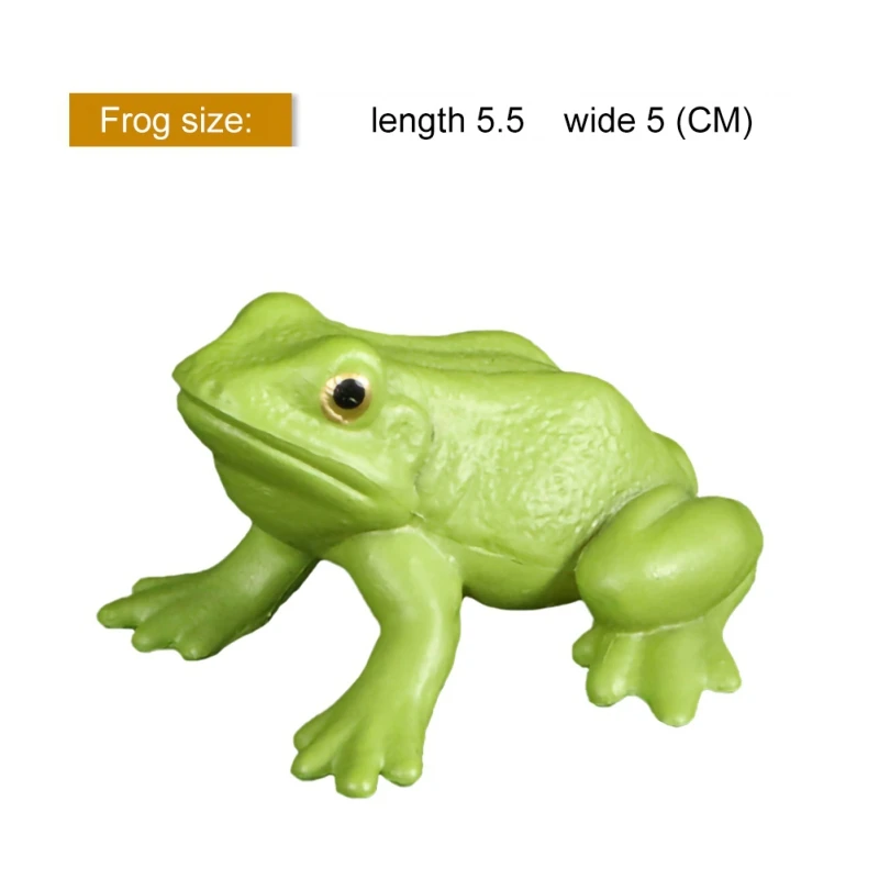 Имитация животного черепаха Цыпленок комар лягушка цикл роста схема процессов