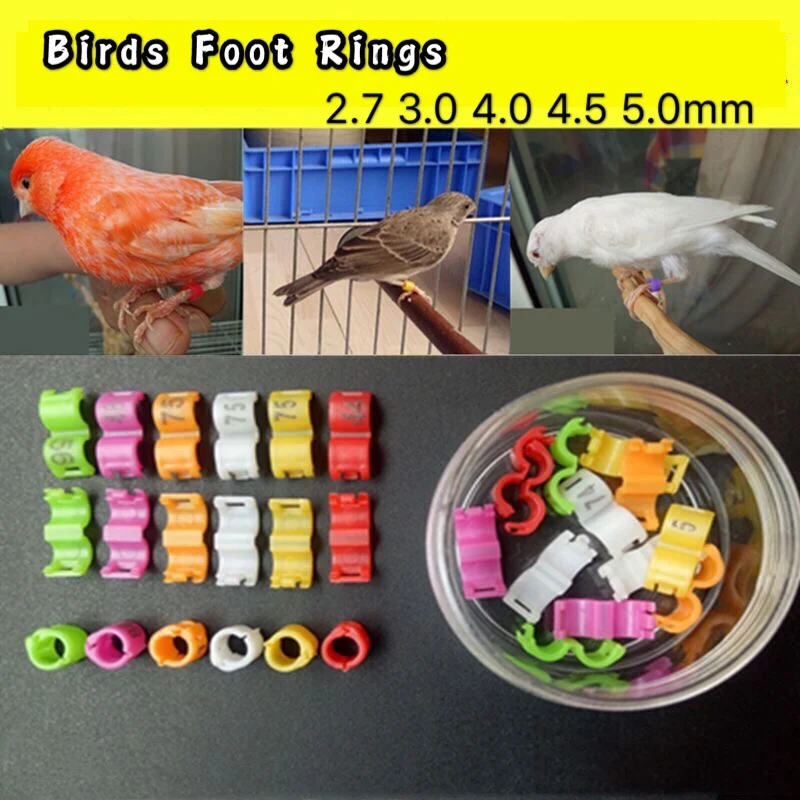 

20Pcs Canary Clip Ring Bird Pigeon Small Parrot Leg Rings Birds Foot Rings Bird Clip Ring Inner diameter 2.7mm 3mm 4mm 4.5mm 5mm