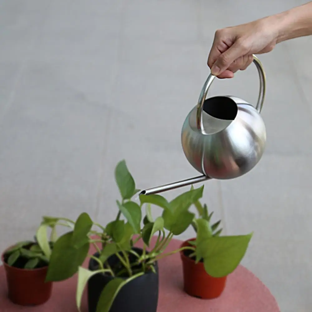 

1000ml Stainless Steel Watering Can Flower Long Mouth Sprinkling Pot with Handle