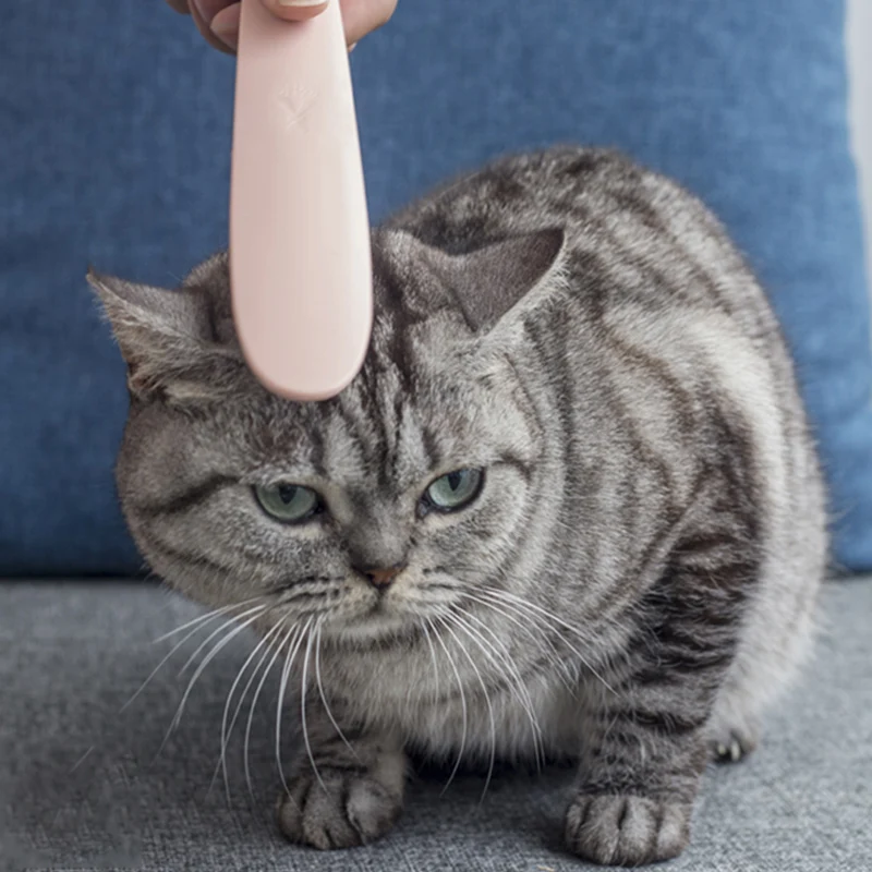 Игрушечный язык для кошек инструменты ежедневного ухода за шерстью домашних