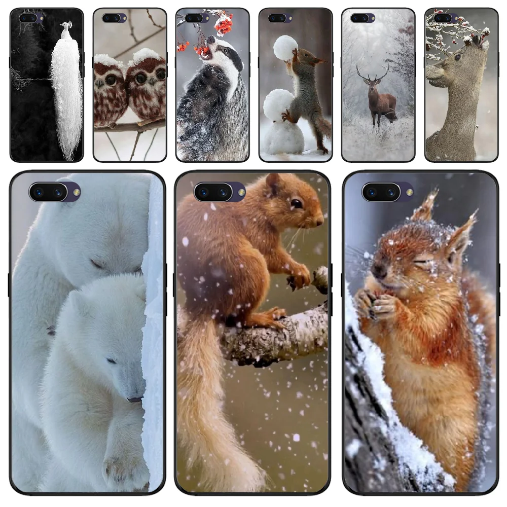 Роскошный чехол для телефона BaweiTE Animals in the snow с уникальным дизайном OPPO F5 F9 F3 F11 pro