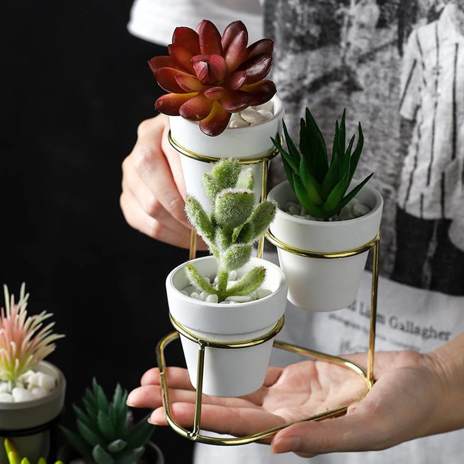 

3Pcs Mini Ceramic Succulent Plant Pot Flower Pot Planter Metal Stand Set Display for Home Garden Supplies
