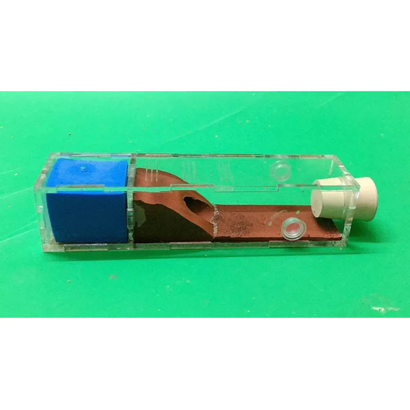 

Native Snail House Ant Nest Acrylic Ant Castle Activity Area Set Reptile Terrarium