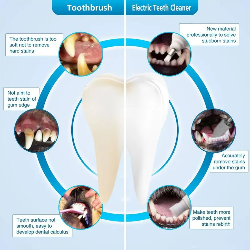 

Tartar Cleaner Electric Professional Teeth Polisher Calculus Plaque Stains Teeth Cleaner with 4 Brush Head Dental Scaler Care Cl