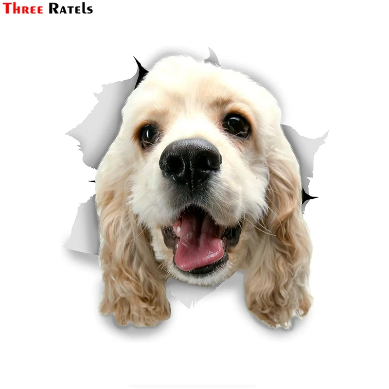 

Три Ratels 3D собака наклейки настенные 1090 белый щенок кокер-спаниель для холодильника, туалета детские ясли