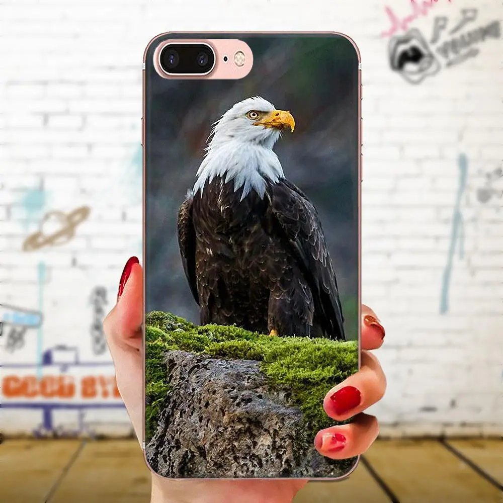 Мягкий Live Love телефон Птица орел обои для LG K50 Q6 Q7 Q8 Q60 X power 2 3 Nexus 5 5X V10 V20 V30 V40 Q