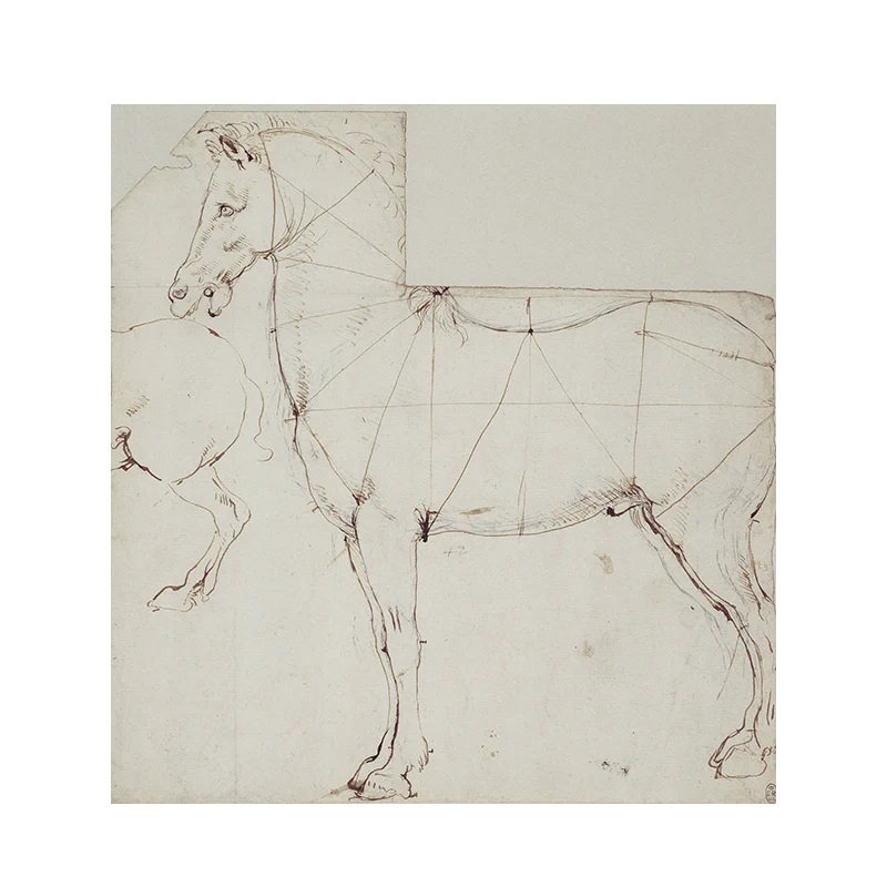Картина на холсте с изображением лошади Леонардо да Винчи 1878 художественные