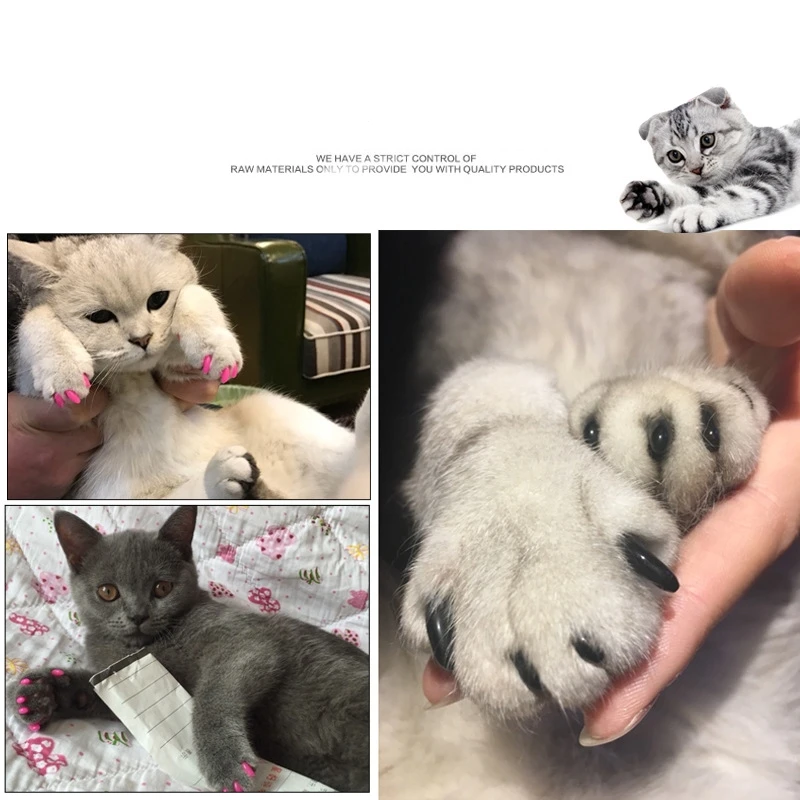 20 штук мягкие кошка ногтей кепки с кошачьими покрытие для в виде лап животных