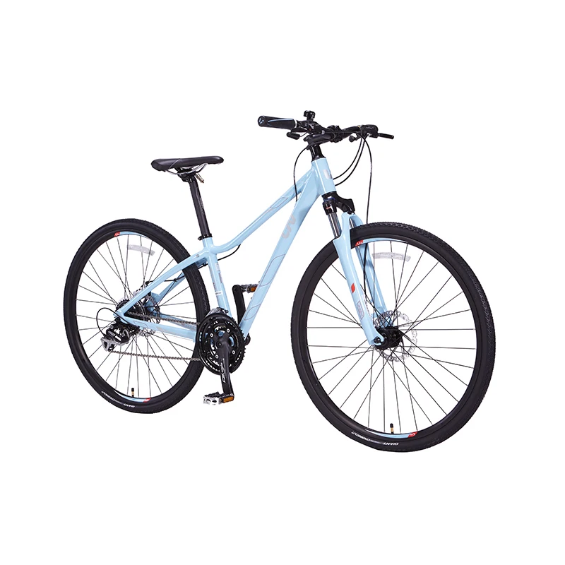 

Low-Span Ladies Variable Speed Adult Mountain Bike