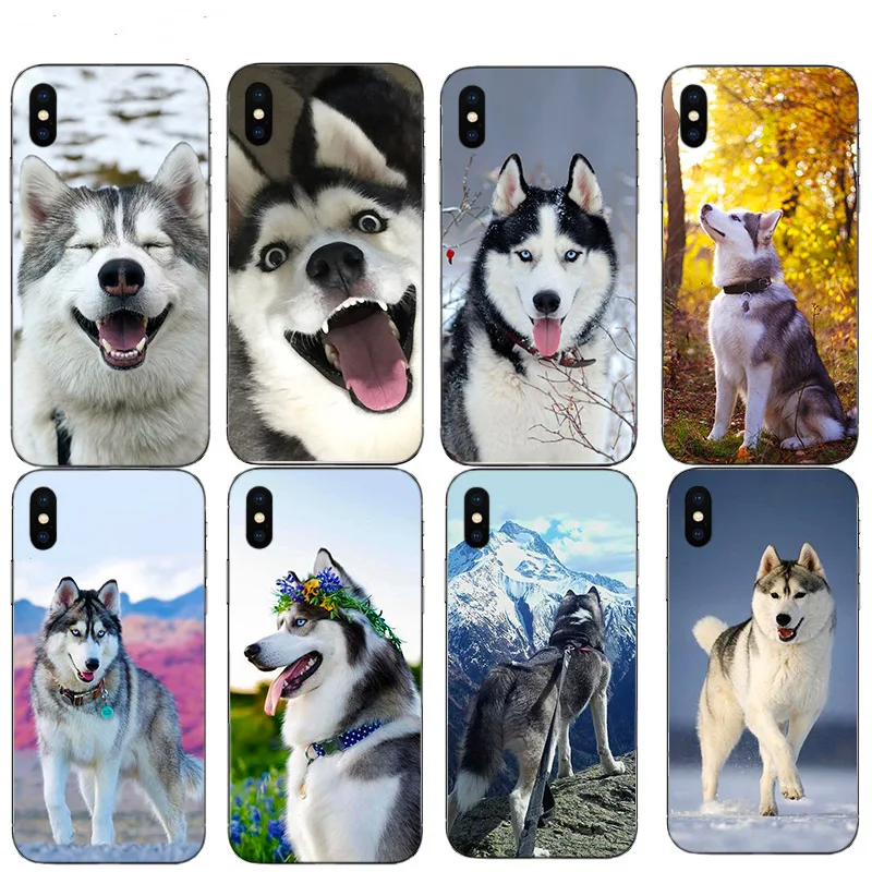 

Cute Funny Husky Mobile Shell For Apple Iphone XS Max 11 Pro SE X XR Phone Case 13 12 Mini 10 6S 7 8 Plus 5 Hard Cellphone Cover