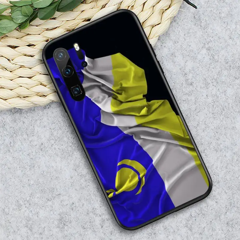 

Buryatia Republic Flag Phone Case For Huawei honor Mate P 10 20 30 40 i 9 8 pro x Lite smart 2019 nova 5t