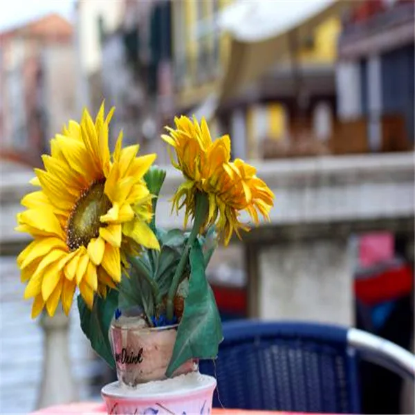 Подсолнухи 50 шт. и красивые подарки для клиентов | Дом сад