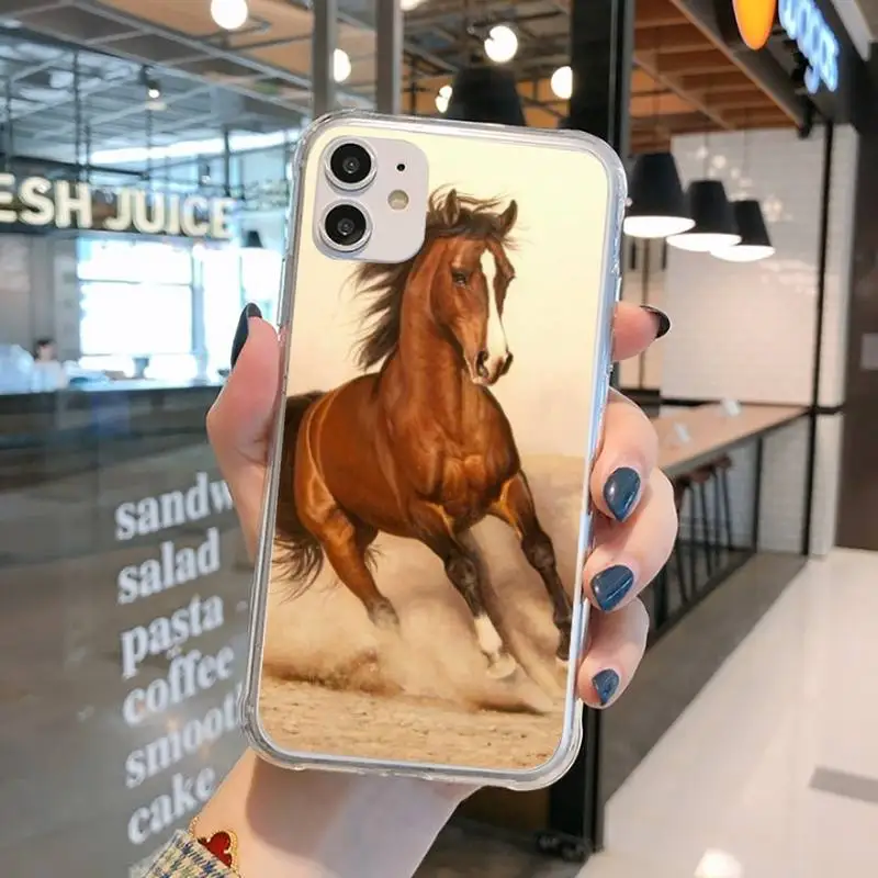 

Frederik The Great beauty horse Phone Case Transparent for iPhone 11 12 mini pro XS MAX 8 7 6 6S Plus X 5S SE 2020 XR