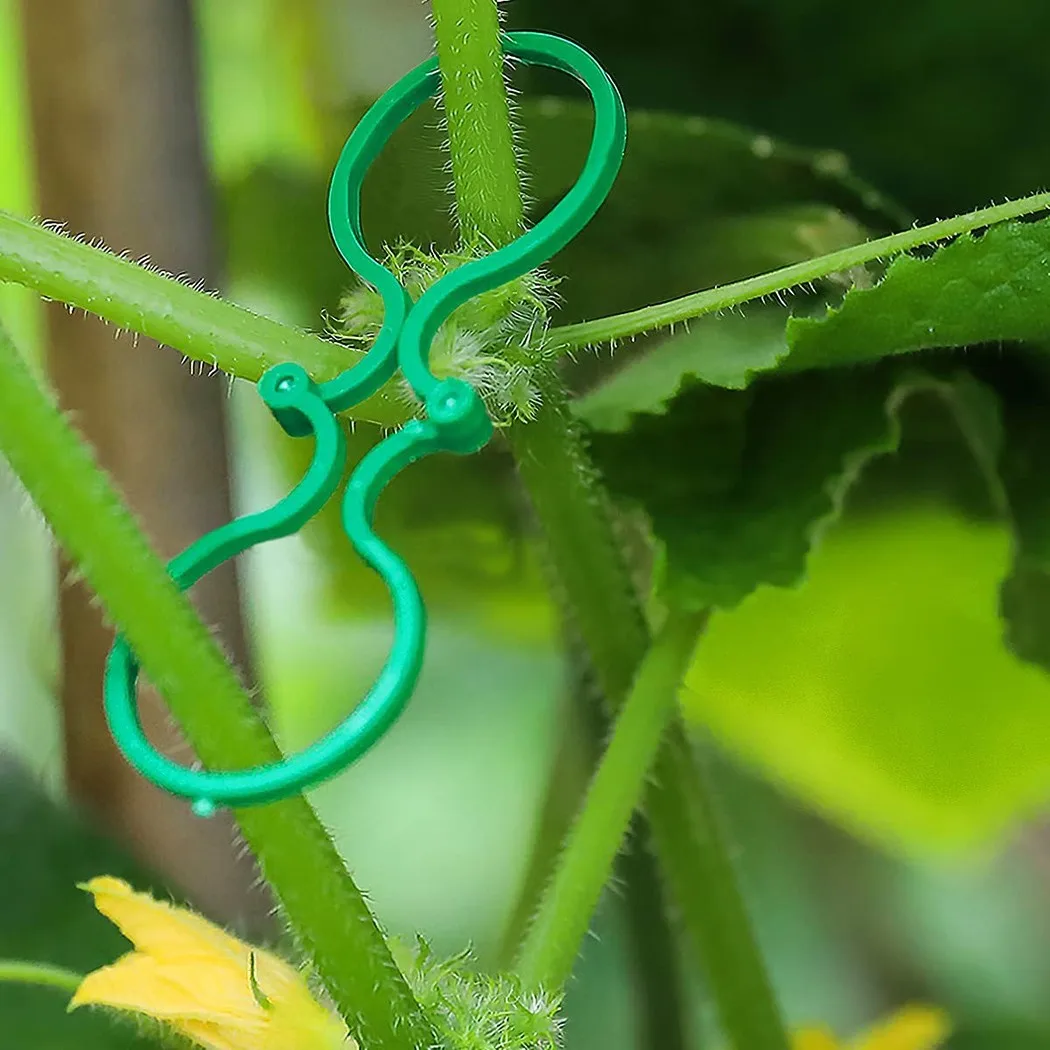 Зажимы для ягод зажимы соединитель цветов сада растений на открытом воздухе