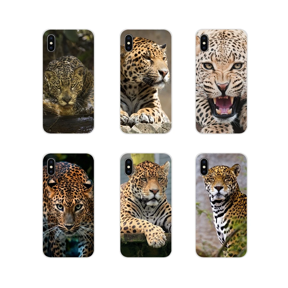 Аксессуары чехлы для телефонов с животными ягуарами Samsung A10 A30 A40 A50 A60 A70 M30 Galaxy Note 2 3
