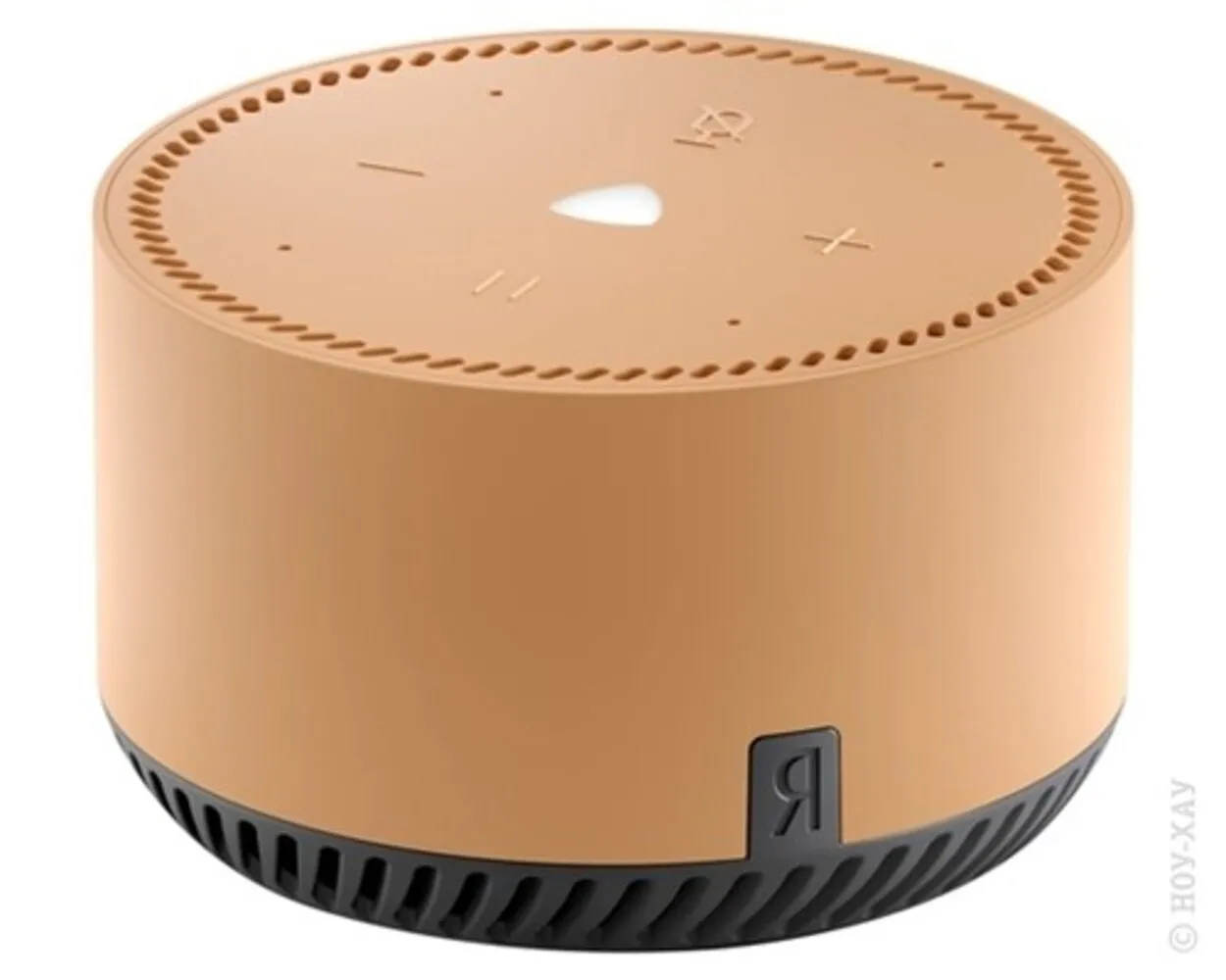  Умная колонка Яндекс.Станция Лайт 