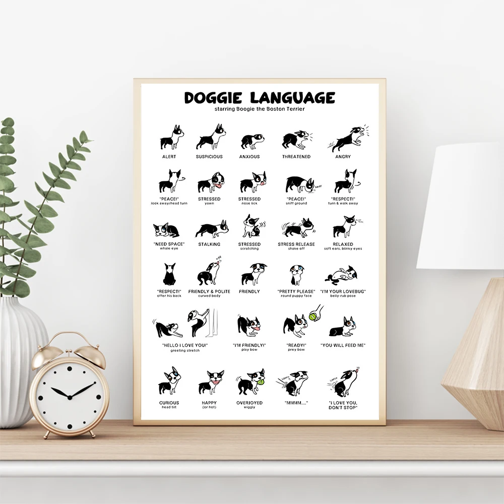 Плакаты и принты в скандинавском стиле с забавными милыми котами собаками знания