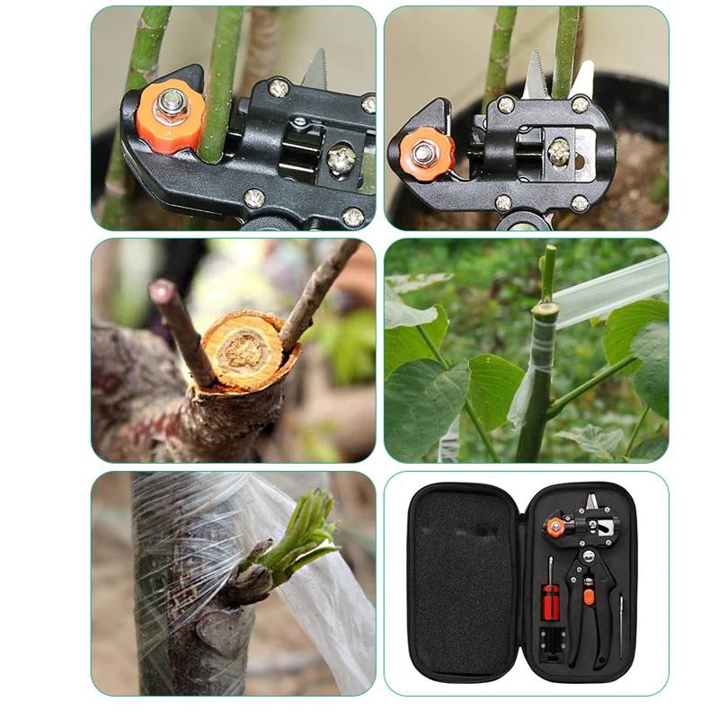 Стремление к садовые ножницы для стрижки Коробки черенкования дерево секаторы