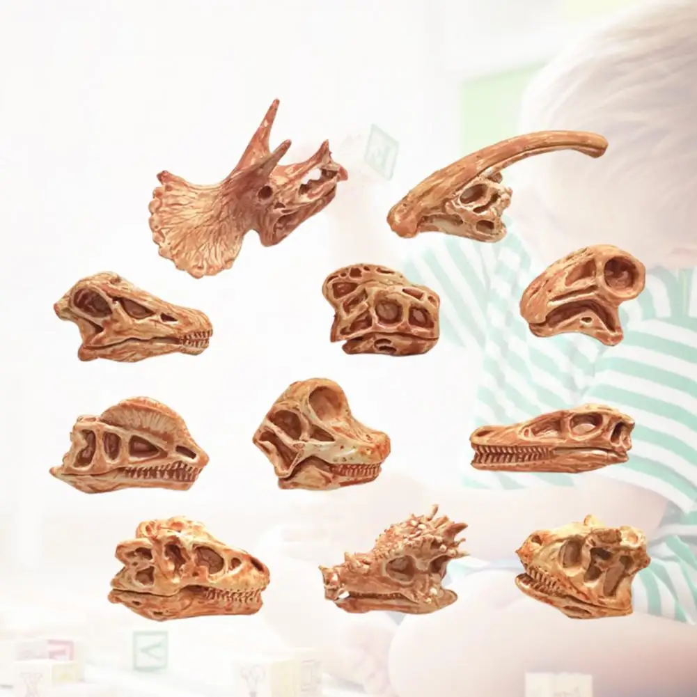 Забавная коллекция высокая имитация зуба динозавра модель черепа для школы зуб