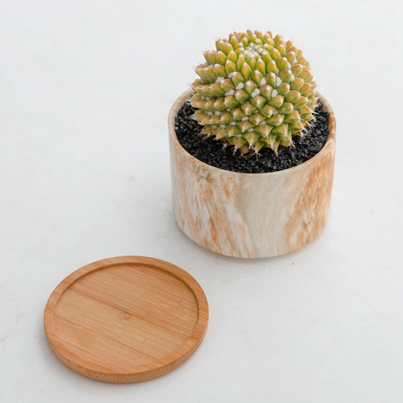 

4Pcs Succulent Pots, 3.2Inch Marbling Succulent Plant Pots with Drainage and Trays, Great for Home Decor and Gift