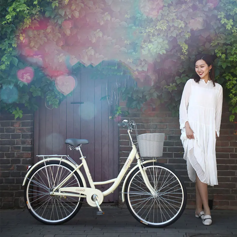 Городской велосипед 20 дюймов с задним сиденьем корзины для студентов|Велосипеды|
