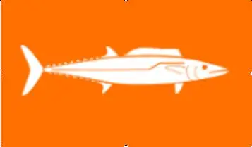 

3x5 футов Флаг С рыболовным баннером