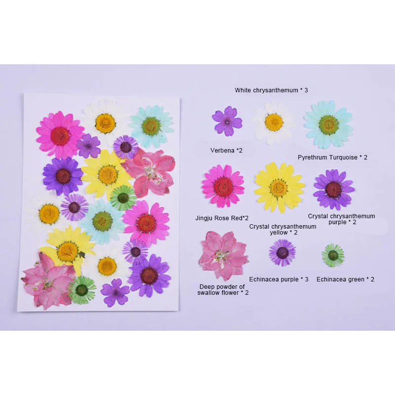 Прессованный цветок сушеные цветы DIY художественные ремесла Скрапбукинг Декор