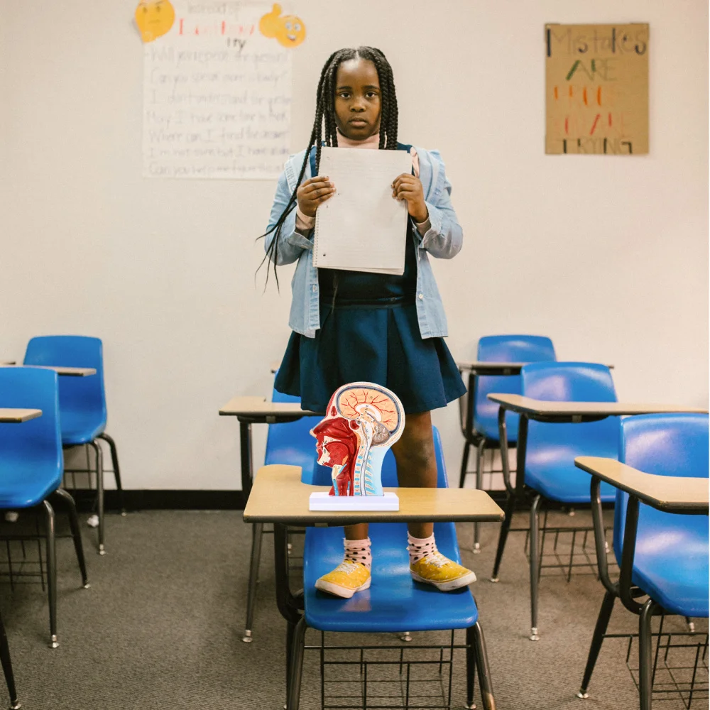 Модель анатомическая для обучения ушам носу горлу 1 шт.| |