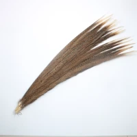 100pcs lady amherst natural pheasant feathers for crafts 24 28inch60 70cm carnival party diy decoration plume